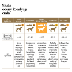 Przysmaki dla psa mięsne kostki 100% liofilizowanej piersi z kaczki 50g