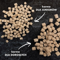 Freeze-Dried Complete Dry Puppy Food Duck with Goat Milk and Egg Yolk 10g