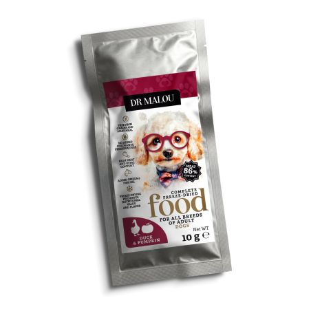 Freeze-Dried Complete Dry Dog Food Chicken with Pumpkin 10g