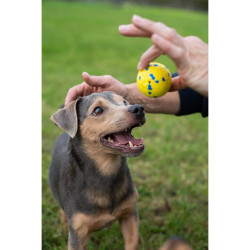Zeus Nitro Dog Toy Ball with Rubber Core S 5 cm
