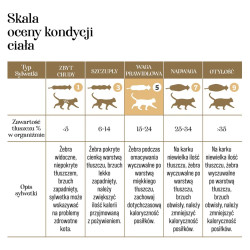 Dr Malou Kitten 500 g – liofilizowana karma dla kociąt kurczak z kozim mlekiem | PupilowaKraina.pl