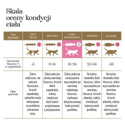 Dr Malou Kurczak z kurzymi sercami 500 g – liofilizowana karma sucha dla kota | PupilowaKraina.pl
