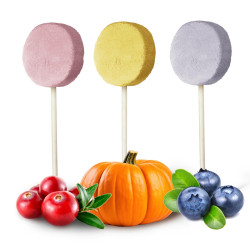 Dog Treats Freeze-Dried Meat Lollipops Mix Flavours 48g 6 pcs