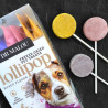 Dog Treats Freeze-Dried Meat Lollipops Mix Flavours 48g 6 pcs