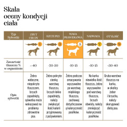 Przysmaki dla psa Lizaki liofilizowane mięsne mix smaków 48g 6 szt
