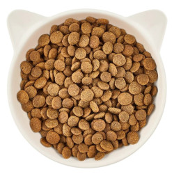 Dry Cat Food WOW CAT Senior with Lamb for Older Cats 325g