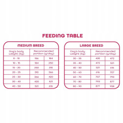 Karma sucha dla psa Gaczoo Daily Wołowina 20 kg