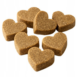 Gaczoo Joint and Bone Supplement for Dogs