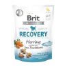 Przysmaki dla psa Brit Recovery Herring 150 g