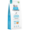 Brit Grain-Free Junior Large Breed Salmon Dry Dog Food 12 kg