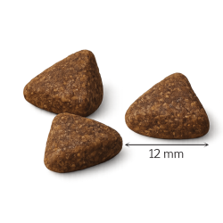 Ibero Natural Adult Salmon Dry Dog Food 12 kg