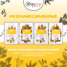 Przysmaki dla psa Gaczoo Kurze łapki suszone 1 kg