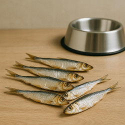 Gaczoo Dried Baltic Sprat Dog Treats 1 kg