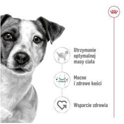 Karma sucha dla psa ROYAL CANIN Mini Adult 800 g
