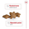 Karma sucha dla psa ROYAL CANIN Mini Adult 800 g