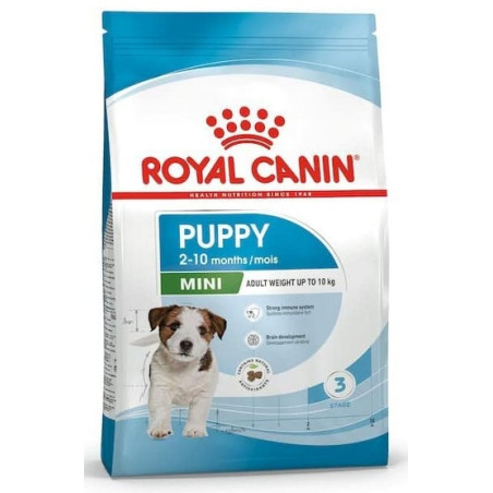 Karma sucha dla psa ROYAL CANIN Mini Puppy 2 kg