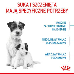Karma sucha dla psa ROYAL CANIN Mini Starter Mother  Babydog 1 kg