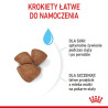 Karma sucha dla psa ROYAL CANIN Mini Starter Mother  Babydog 1 kg