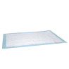 Hygienic Pads Barry King 45x60 cm 10 pcs