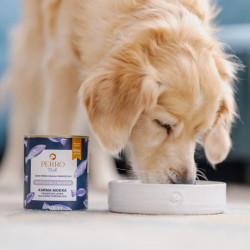 Wet Dog Food Perro Fish Hake with Sweet Potato for Adult Dogs 800g