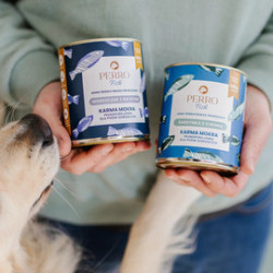 Wet Dog Food Perro Fish Sardine with Zucchini for Adult Dogs 800g