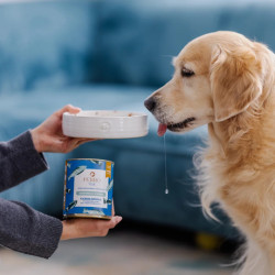 Wet Dog Food Perro Fish Sardine with Zucchini for Adult Dogs 800g