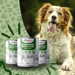 Wet Dog Food Gaczoo Monoprotein Wild Boar 400g