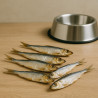 Dog Treats Gaczoo Dried Sprats 100g