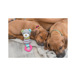 Trixie Junior Teddy Toy (ring) material/polyester 23 cm