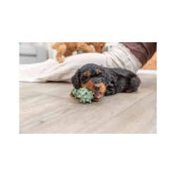 Zabawka Trixie Mini hantel JUNIOR lateks 10 cm