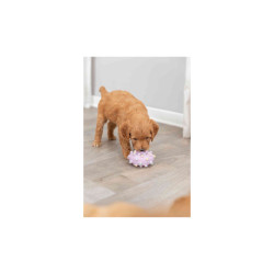 Trixie Mini Wheel JUNIOR latex toy 8 cm