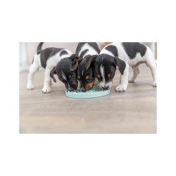 Zabawka Trixie Junior taca na smakołyki Licking Plate śr. 15 cm