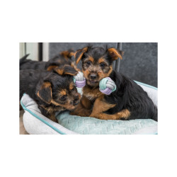 Zabawka Trixie Hantelek ze sznurka JUNIOR 15 cm