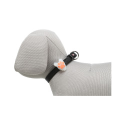 Zawieszka świecąca Trixie dla psów Flasher 2,4 cm/8 cm biała ze wzorem