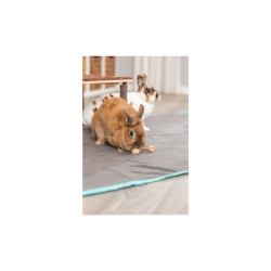 Zabawka Trixie Hantle dla gryzoni, drewno/trawa, 9 × 2 cm, 2 szt/opak