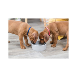 Ceramic Bowl Trixie Junior 0.3 l / 12 cm
