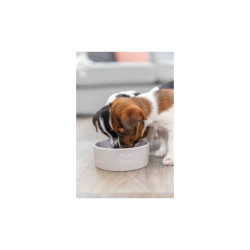 Ceramic Bowl Trixie Junior 0.3 l / 12 cm