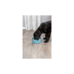 Trixie ceramic dog bowl blue 0.9 l 16 cm