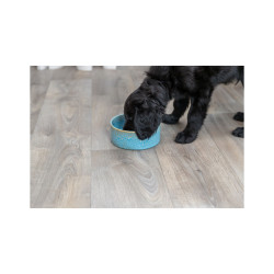 Miska ceramiczna dla psa Trixie niebieska 0,9 l 16 cm