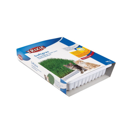 Trixie Trawa dla kota w pojemniku 100 g