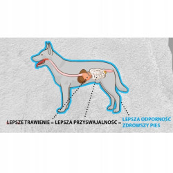 Cold Pressed Dry Dog Food Kudo Adriatic Fish Med/Maxi 12kg