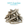 Dog and Cat Treats Dr Malou Fish 100% Freeze-Dried Capelin 80 g