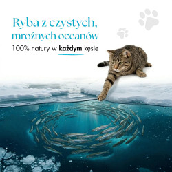 Przysmaki dla psa i kota Dr Malou Rybki 100% liofilizowany Kapelan (Gromadnik) 80 g