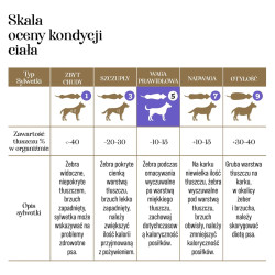 Karma mokra dla psa Dr Malou Zupka Kaczka z Jagodą - Pełnoporcjowa karma