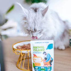 Wet Cat Food Animal Island Everyday Poultry in Jelly 12x85g