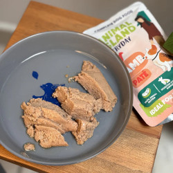 Wet Dog Food Animal Island Everyday Lamb Pate 10x150g