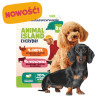 Wet Dog Food Animal Island Everyday Pouches BOX 4 x 150g Turkey and Beef
