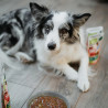 Wet Dog Food Animal Island Everyday Pouches BOX 4 x 150g Turkey and Beef