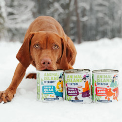 Wet Dog Food Animal Island Everyday Turkey Lamb 800g