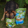 Karma sucha dla psa Animal Island Łosoś 1kg